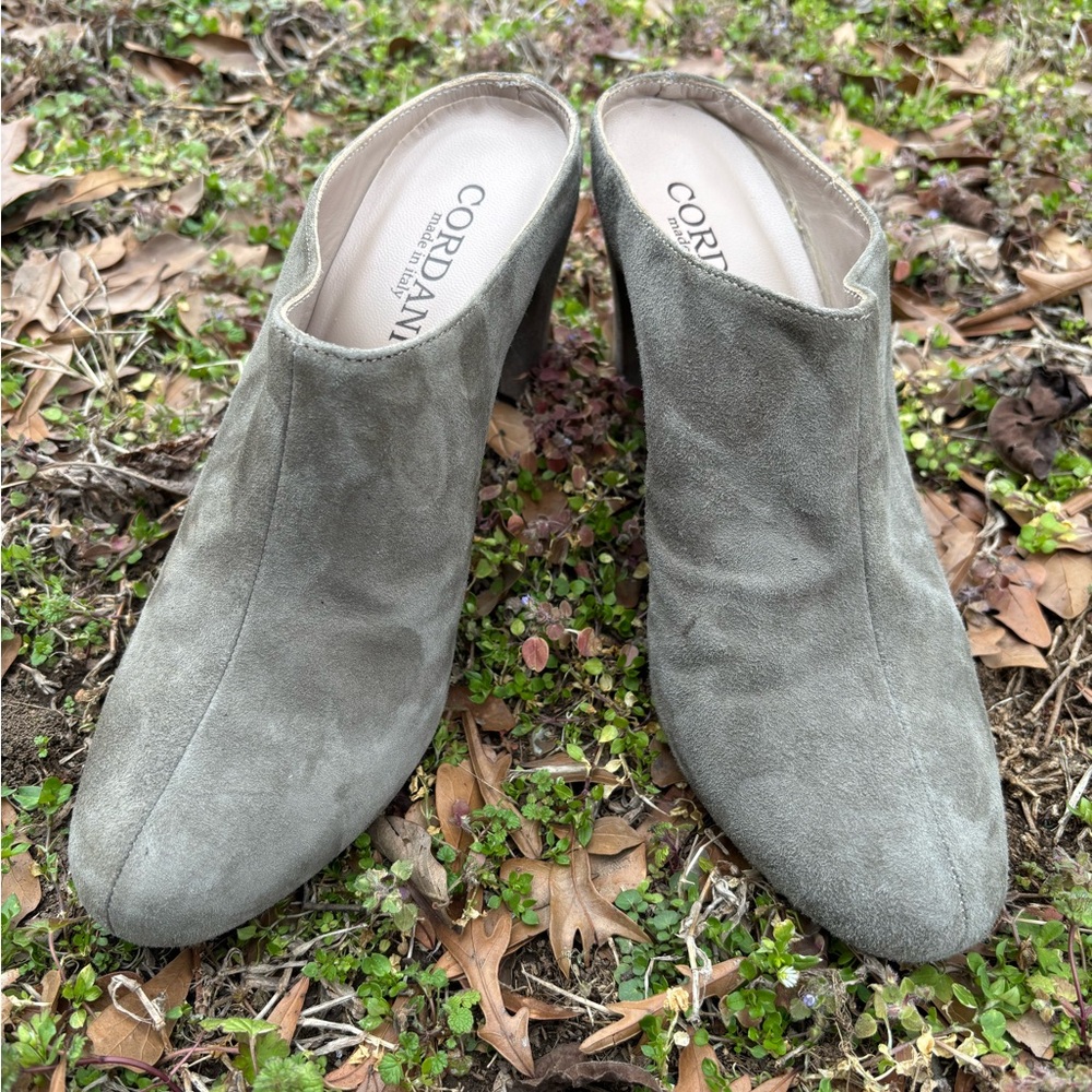 Cordani Women's Olive Suede Mules